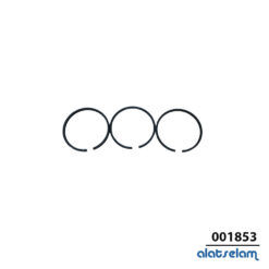 Spare Part LW Piston Ring Set LW 100 1st Stage 001853