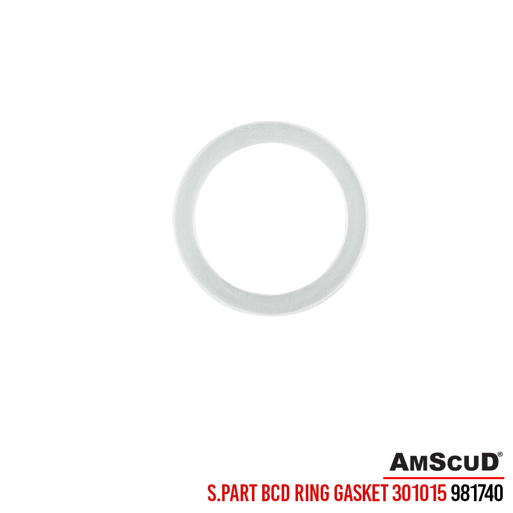 Spare Part AmScuD BCD Ring Gasket 301015 981740